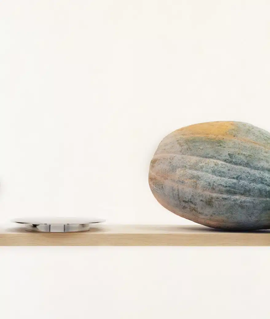 Bread plate from Dinner Service by Donald Judd collection photographed on a wood shel with a pumkin